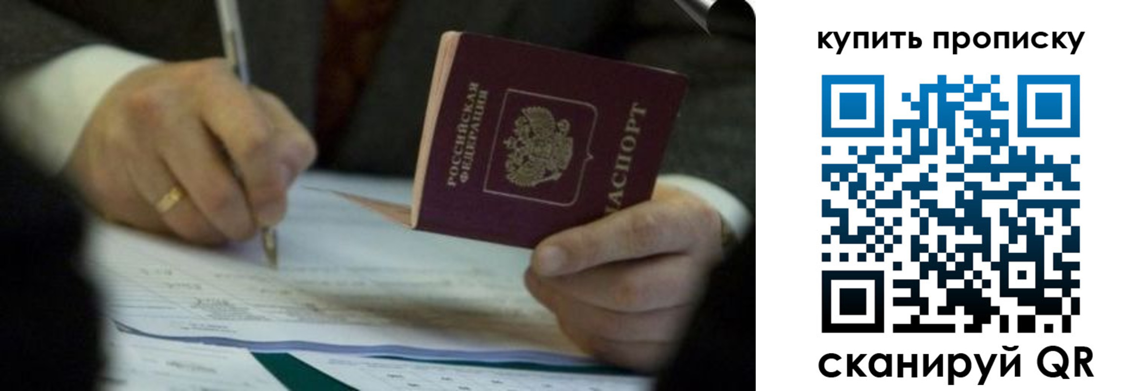найти адрес прописки в Светогорске